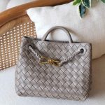 Bottega Veneta Andiamo Small Light Grey