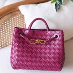 Bottega Veneta Andiamo Small Pink Intrecciato