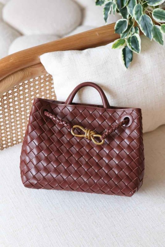 Bottega Veneta Andiamo Small Sapele Brown