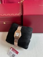 Cartier Panthere De Small Quartz Rose Gold Watch WGPN0006