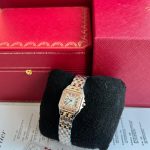Cartier Panthere De Small Yellow Gold And Steel Case Diamond Ladies Watch W3PN0014