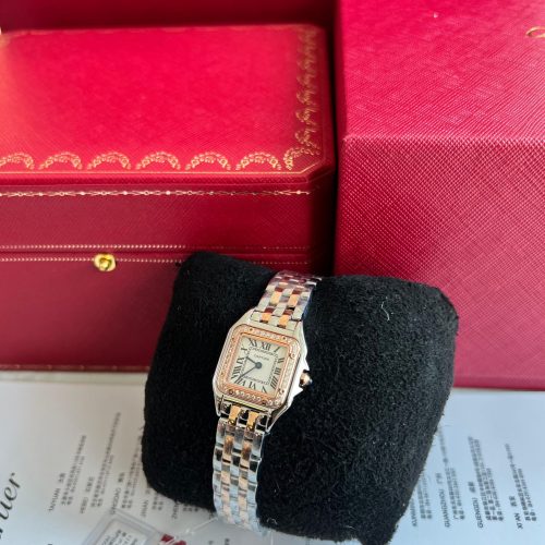 Cartier Panthere De Small Yellow Gold And Steel Case Diamond Ladies Watch W3PN0014