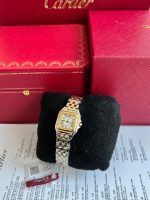 Cartier Panthere De Small Yellow Gold And Steel Case Ladies Watch W2PN0018