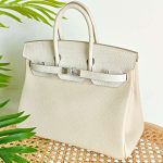 Hermes Birkin 25 Combination Crocodile & Togo Leather In Beton