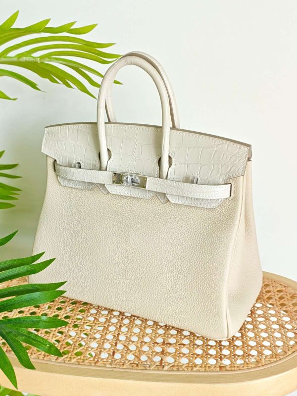 Hermes Birkin 25 Combination Crocodile & Togo Leather In Beton