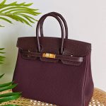 Hermes Birkin 25 Combination Crocodile & Togo Leather in Rouge Grenat
