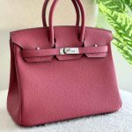Hermes Birkin 25CM Bois De Rose Togo Leather Handbag