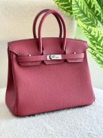 Hermes Birkin 25CM Bois De Rose Togo Leather Handbag