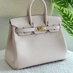 Hermes Birkin 25CM Craie Shade Togo Leather Handbag