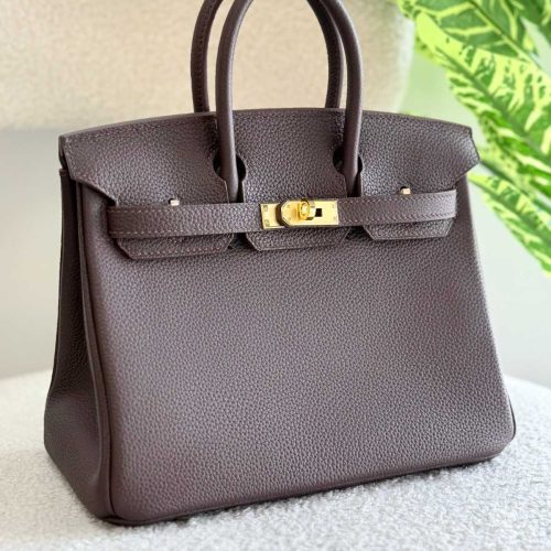 Hermes Birkin 25CM Handbag In Ebene Togo leather Gold Hardware