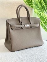 Hermes Birkin 25CM Etoupe Togo Leather Handbag