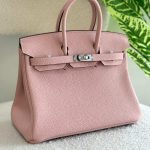 Hermes Birkin 25CM Handbag In Glycine Togo Leather Silver Hardware