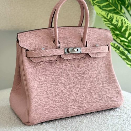 Hermes Birkin 25CM Handbag In Glycine Togo Leather Silver Hardware