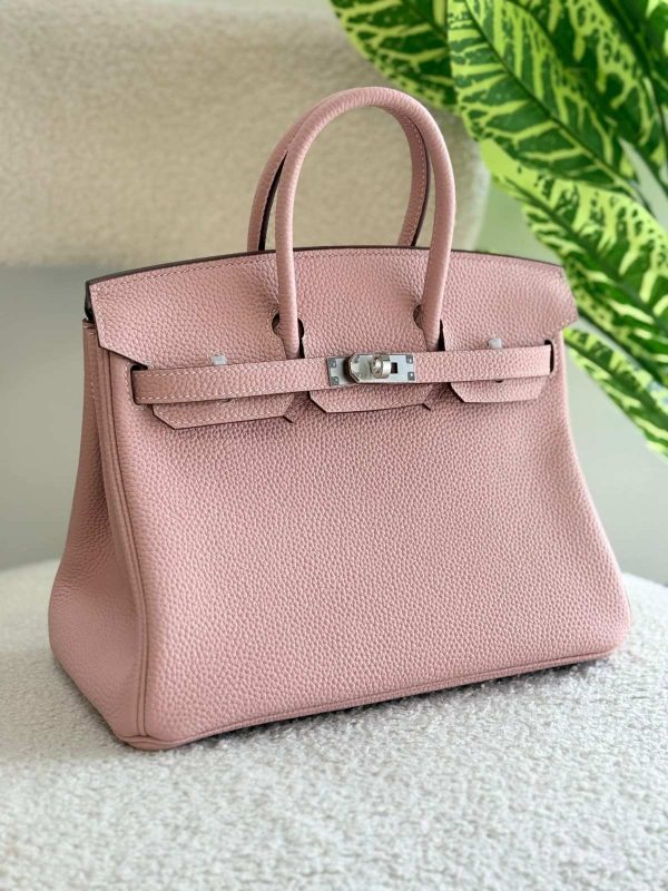 Hermes Birkin 25CM Handbag In Glycine Togo Leather Silver Hardware