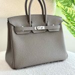 Hermes Birkin 25CM Gris Etain Togo Leather Handbag