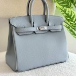 Hermes Birkin 25CM Handbag In Gris Pantin Togo Leather