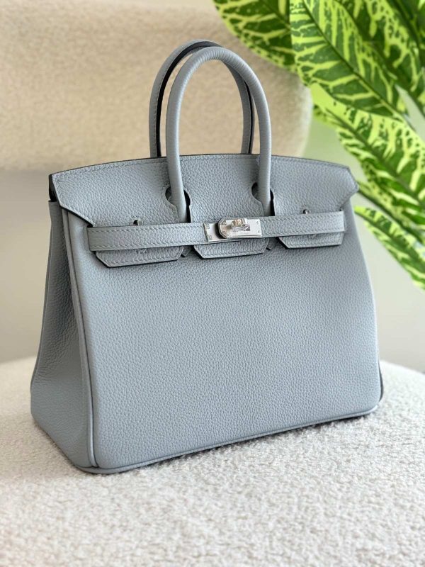 Hermes Birkin 25CM Handbag In Gris Pantin Togo Leather