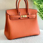 Hermes Birkin 25CM Handbag In Orange Togo Leather Gold Hardware