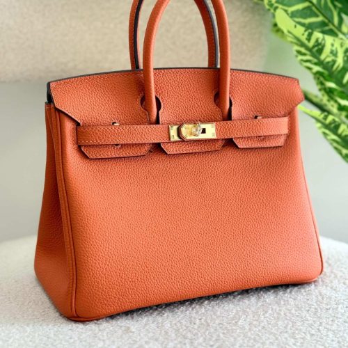 Hermes Birkin 25CM Handbag In Orange Togo Leather Gold Hardware