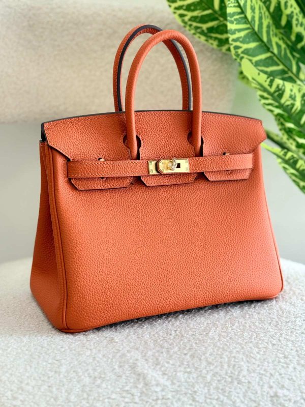 Hermes Birkin 25CM Handbag In Orange Togo Leather Gold Hardware