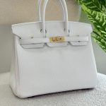 Hermes Birkin 25CM Pure White Togo Leather Handbag