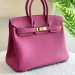 Hermes Birkin 25CM Rose Pourpre Togo Leather Handbag