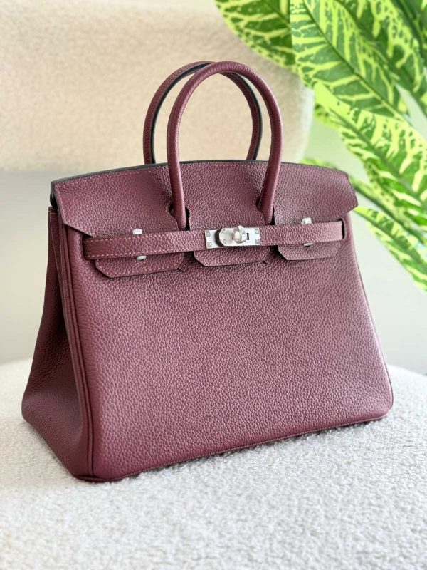 Hermes Birkin 25CM Rouge H Togo Leather Handbag