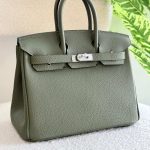 Hermes Birkin 25CM Vert Veronese Togo Leather Handbag