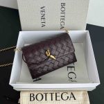 Bottega Veneta Andiamo Pouch On Chain Dark Barolo