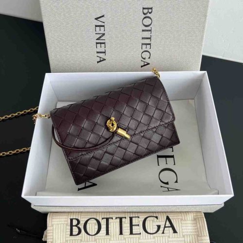 Bottega Veneta Andiamo Pouch On Chain Dark Barolo