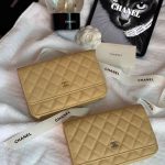 Chanel Classic Wallet On Chain Beige
