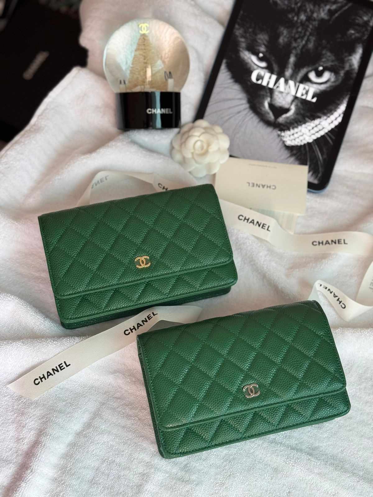 Chanel Classic Wallet On Chain Green Caviar Leather Chanel Classic Wallet On Chain Green Caviar Leather - Image 1