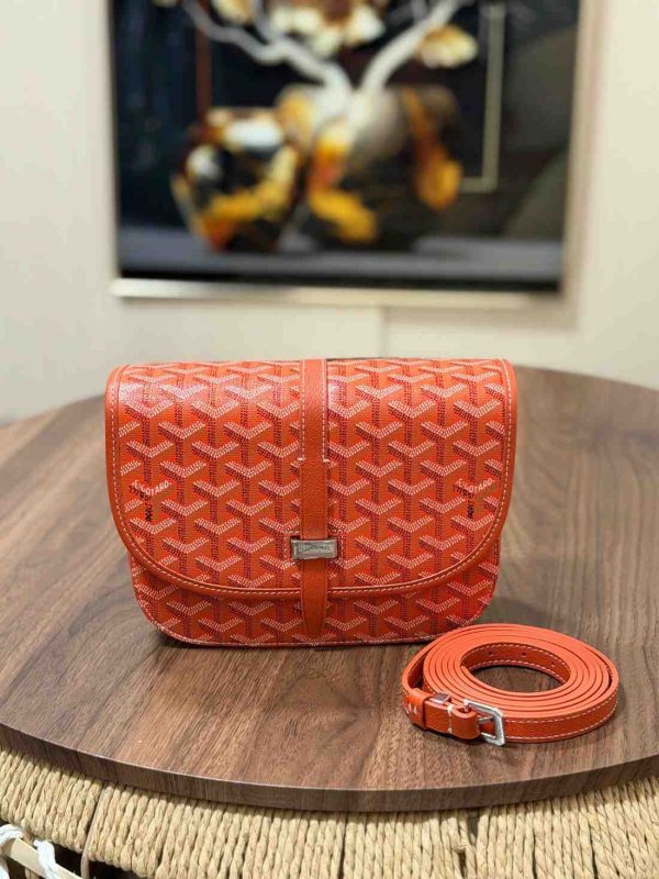 Goyard Belvedere PM Bag Orange