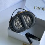 Christian Dior Oblique CD Signature Oval Crossbody Camera Bag