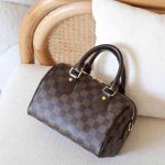 Louis Vuitton Speedy 20 Bandouliere Brown Damier Ebene Canvas Handbag