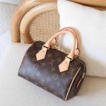Louis Vuitton Speedy 20 Bandouliere Brown Monogram Canvas Handbag