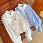 Celine Cropped Striped Button Up Shirt