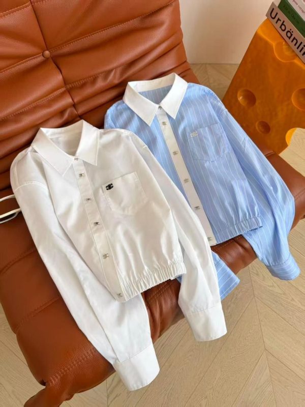 Celine Cropped Striped Button Up Shirt