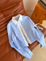 Celine Cropped Striped Button Up Shirt Blue (1)