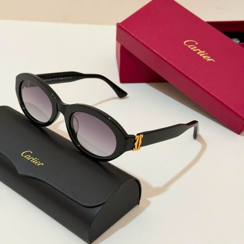 Cartier CT0588S-001 Oval Frame Black Sunglasses