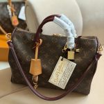 Louis Vuitton Speedy 30 Soft Celebration Monogram Canvas Handbag