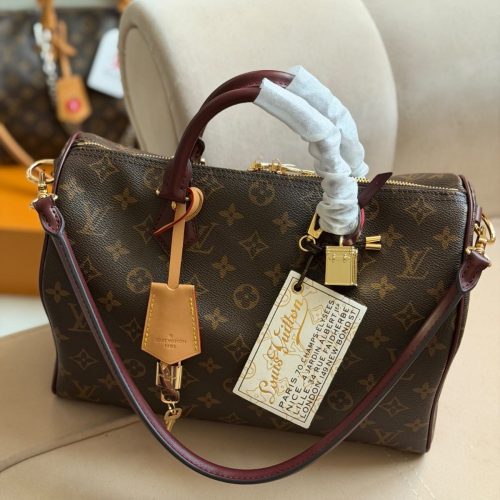 Louis Vuitton Speedy 30 Soft Celebration Monogram Canvas Handbag