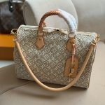 Louis Vuitton Speedy Soft 30 Monogram Emblme Peuplier colorway Handbag