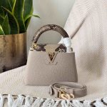 Louis Vuitton python handle capucines mini bag galet gray