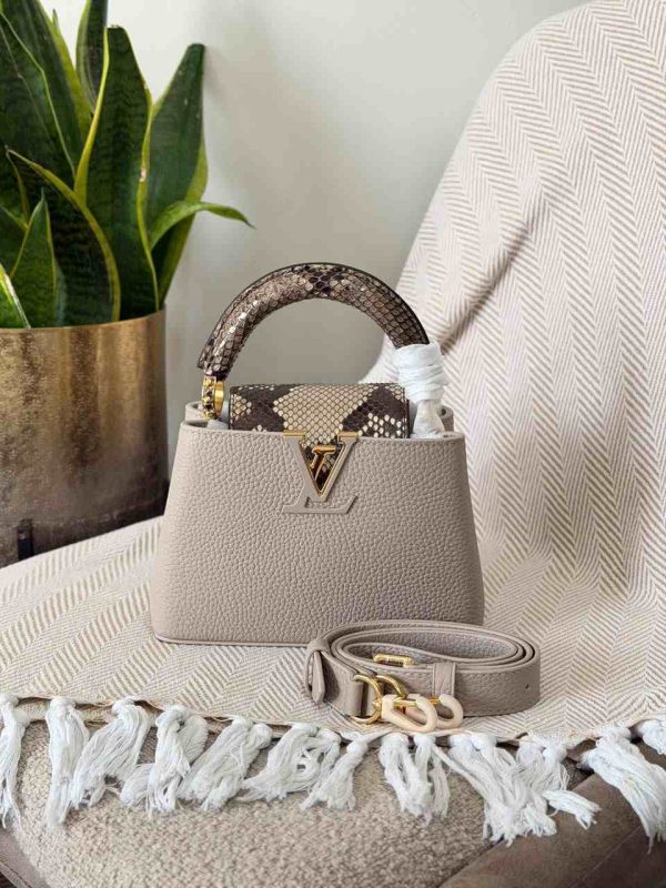 Louis Vuitton python handle capucines mini bag galet gray